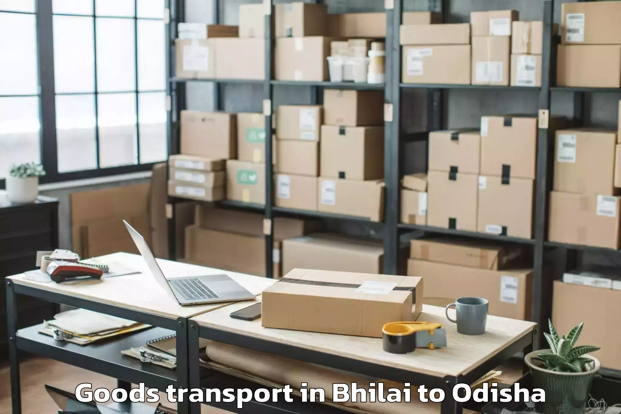 Book Your Bhilai to Komana Goods Transport Today